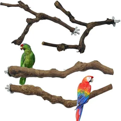 Productafbeelding van Natuurlijke vogelstang voor papegaaien - 23-30 cm lang - Vogel speelgoed voor huisdieren