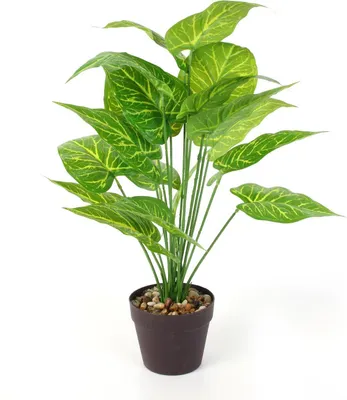Zdjęcie produktu dla Plastikowa Dieffenbachia - ø 15 x 55 cm - Tropikalna roślina domowa - Sztuczne rośliny - Roślina łatwa w pielęgnacji - Sztuczna roślina - Zielona