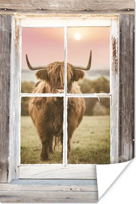 Produktbild von MuchoWow® Poster Schottischer Highlander - Ansicht - Fenster 120x180 cm - Kunstposter