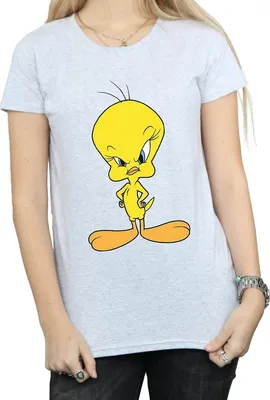 Produktbild von Looney Tunes - "Angry" T-Shirt für Damen BI787 (S) (Grau)