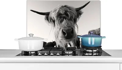 Produktbild von KitchenYeah®  Spritzschutz Küche - Küchenrückwand - Wandschutz für Herd und Spüle - Schottisches Hochlandrind - Schwarz - Weiß - Tiere 60x40 - Alu-Dibond (Alternative zum Spritzschutz aus Glas) - Hitz
