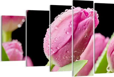 Produktbild von Bild auf Leinwand - Leinwandbild - Tulpe Blumen Tau - 150x100cm - Wand Bild - Wanddeko - Leinwanddruck - Bilder - Kunstdruck - Wanddekoration - Leinwand bilder - Wandkunst - EG150x100-2483