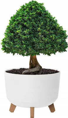 Produktbild von Doniczka Gracia okrągła 35 cm biała