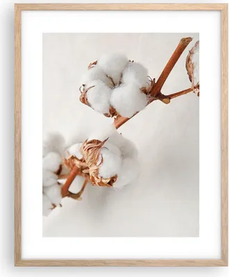 Produktbild von Gerahmtes Poster - Rahmen in heller Eiche - Baumwolle Makro Zweig - 40x50 cm - Wand Bild - Wanddeko - Wandbilder - Kunstposter - Wandposter - Bilderrahmen - Bilder - Kunstdruck - P2NPA40x50-4835
