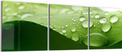 Produktbild von DEQORI Glasbild Echtglas 3x50x50 cm 'Tropfenfrische' Wandbilder XXL groß