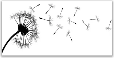 Produktbild von Tulup Leinwand-Bilder 120x60 Wandbild Canvas Kunstdruck Pusteblume Pflanzen