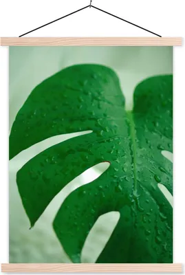 Produktbild von MuchoWow® Textilposter Nahaufnahme von Tröpfchen auf einem Blatt der Käsepflanze (Monstera deliciosa) 40x53 cm mit holzfarbenen Rahmen - Schlafzimmer