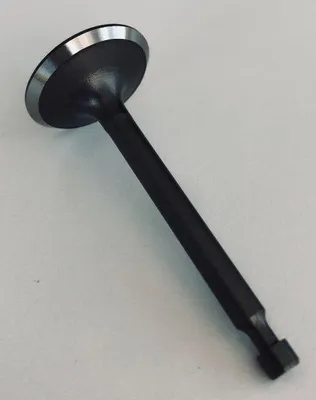 Produktbild von Ansaugventil Zongshen Xp200 100004523