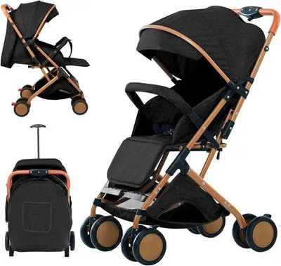 Produktbild von Reise-Stroller - Sicher auf Reisen - Explosionsfeste Reifen - 0-36 kg - Schwarz