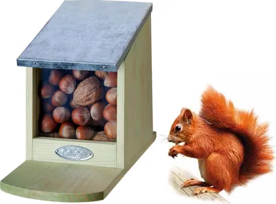 Futterhaus-Eichhörnchen-Holz-Zink
