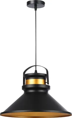 A black and gold pendant light fixture against a white background.