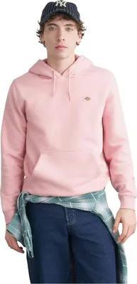 Produktbild von Hoodie Dickies DK0A4XCDL471 für Herren