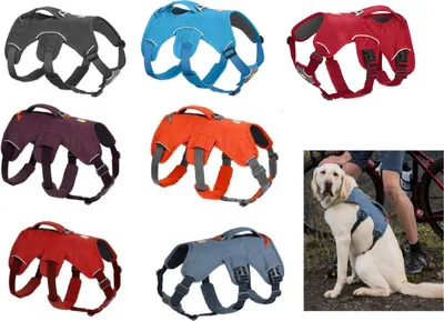 Produktbild von Ruffwear Web Master Harness Geschirr, Farbe:Blue Dusk, Größe:XXS
