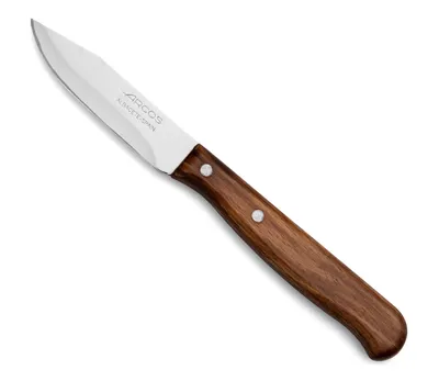 Obrázek produktu pro ARCOS 100100 12 ks Nůž Mondador Latina