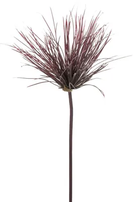 Produktbild von Gilde Cyperuszweig Kunststoff · purpur Höhe 73 cm Höhe 73,0 cm 54783