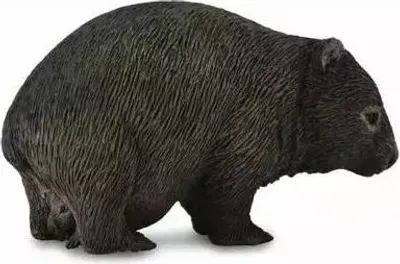 Image de COLLECTA Ours Wombat