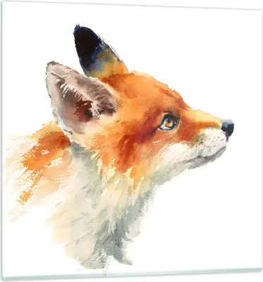 Produktbild von Bilder auf glas - Fuchs Tier Natur - 50x50cm - Glasbilder - Wandbilder - Kunstdruck - zum Aufhängen bereit - Wanddekoration aus Glas - Glas Bilder - Wandbild auf Glas - Einteilig - GAC50x50-3904