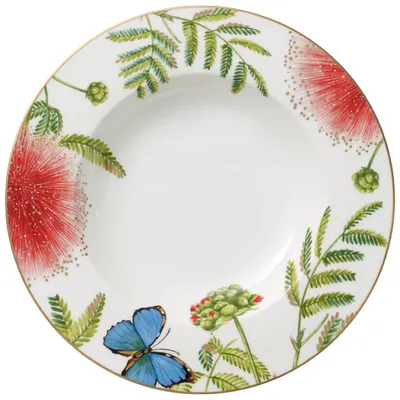 Produktbild von Villeroy & Boch Amazonia Anmut Suppenteller 24cm