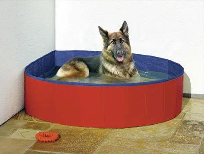 Produktbild von Karlie Doggy Pool - Hundespielzeug - PVC - Rot - 160x160x30 cm