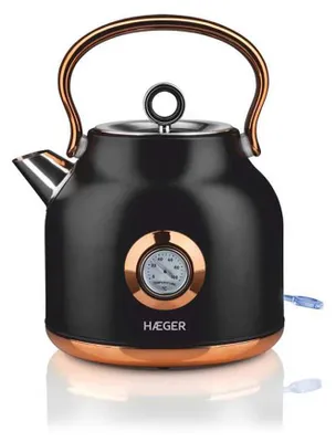 Image de Bouilloire électrique en acier inoxydable, 1,7 litre, 2200 W