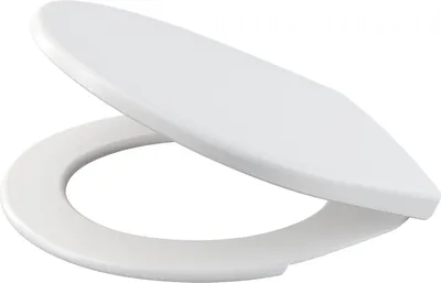 A white toilet seat and lid are shown from a slightly elevated side angle against a white background.