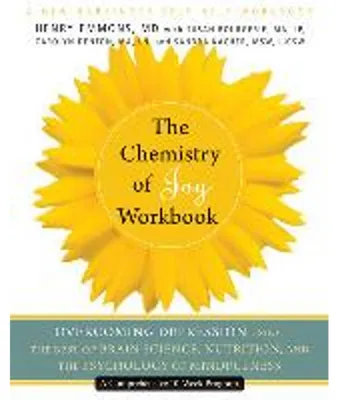 Obrázek produktu pro The Chemistry of Joy Workbook