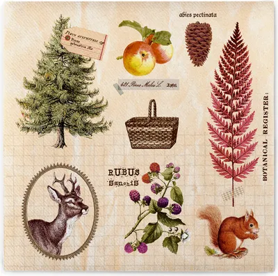 Produktbild von Sovie HORECA Serviette Elias aus Linclass® Airlaid 40 x 40 cm, 50 Stück - Waldtiere Tannenzapfen Haselnüsse
