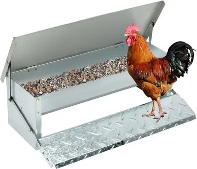 Image de Distributeur de nourriture pour poulets, capacité de 5 kg, couvercle en acier inoxydable, dimensions 56x18x18 cm, pour l'extérieur