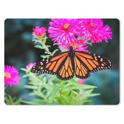 Produktbild von MuchoWow® Mauspad Mousepad Schmetterling - Botanisch - Blume 23x19 cm - Mousepads - Maus Mat - Pad - Mausunterlage - Schreibtischunterlage - Mauspad