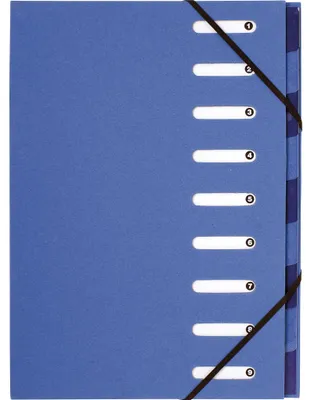 Produktbild von Exacompta 6x Ordnungsmappe RC-PP Gummizug dehnbar 9 Fächer A4 - Hellblau 52982E