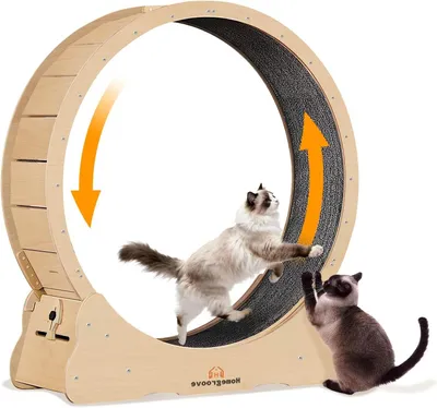 Zdjęcie produktu dla Kattenspeelwiel XXL - Kółko do biegania dla kota - Okrągła zabawka dla kota - Kółko dla kota - Zabawa dla kota w pomieszczeniu - Średnica 80 cm