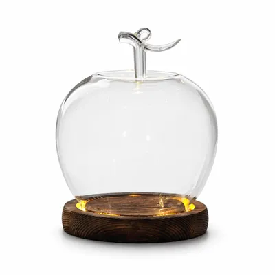 Produktbild von LED Apfel Glasdom Deko mit Holzsockel dekorative Glasglocke für Tisch Wohnzimmer Geschenk Schutz für kleine Figuren Blumen Micro Landschaft