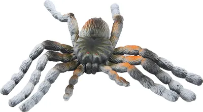 Obrázok produktu pre Halloween simulácia pavúk falošný realistický pavúk model hračka hororové dekorácie rekvizita