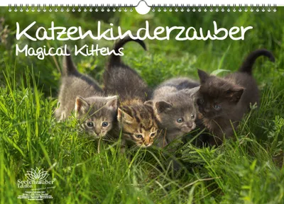 Produktbild von Katzenkinderzauber DIN A3 - Immerwährender Kalender Katzenkinder Katzenbabys - Seelenzauber