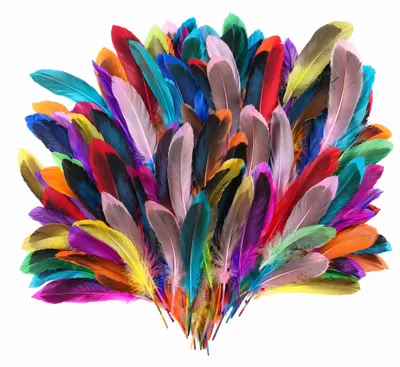Produktbild von 150 bunte, natürliche Federn, 14-18 cm lang, für Bastelarbeiten