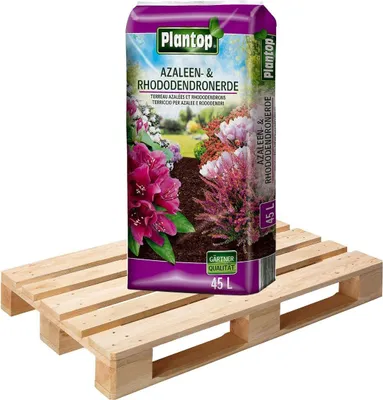 Produktbild von Plantop Azaleen- und Rhododendronerde 51 x 45l
