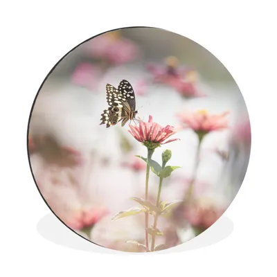Produktbild von MuchoWow® Aluminium Wandkreis Schmetterling - Blume - Rosa Ø 90 cm Wanddeko Modern Wohnzimmer - Mauerkreis - Wandbilder - Runde Bild - Bild aus Aluminium - Schlafzimmer - Wohnzimmerdekoration - Wand Dekoration