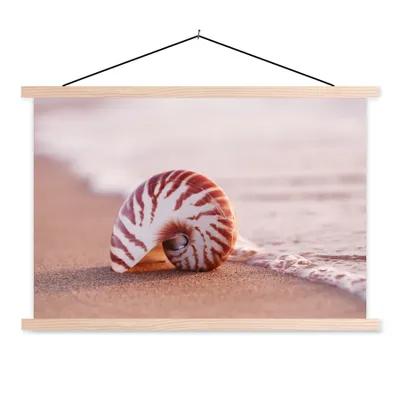Produktbild von MuchoWow® Textilposter Muschel - Strand - Meer - Sand 120x80 cm mit holzfarbenen Rahmen - Aufhängeset
