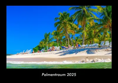 Produktbild von Palmentraum 2025 Fotokalender DIN A3