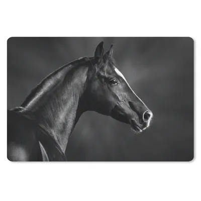 Produktbild von MuchoWow® Schreibtischunterlage Pferd - Tiere - Schwarz - Weiß - Porträt 60x40 cm - XXL Mauspad - Großes Mauspad