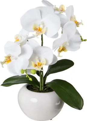 Produktbild von GASPER Schmetterlingsorchidee - Phalenopsis Weiß im Keramiktopf 35 cm - Kunstpflanzen