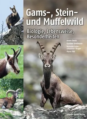 Immagine prodotto di Gams-, Stein- und Muffelwild