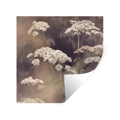 Produktbild von MuchoWow® Wandtattoo Wandsticker Wandaufkleber Pflanze - Weiß - Natur - Blumen 30x30 cm Selbstklebend und Repositionierbar - Repositionierbar - Wasser abweisend