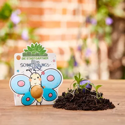 Image de 1 boules à fleurs « Le pré aux papillons d'Ella » – Bombe à graines colorée contenant des graines de fleurs sauvages – Idée cadeau durable pour les enfants – Fait main et sans plastique