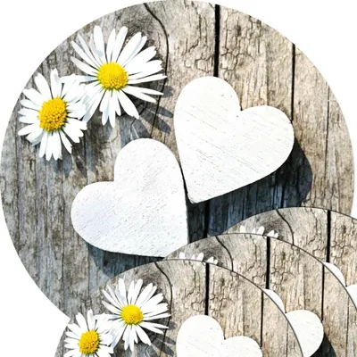 Produktbild von Abwaschbare Tischsets 4er Set Gänseblümchen Blumen rund