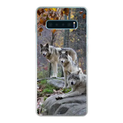 Produktbild von MuchoWow® Handyhülle Schutzhülle Hülle für Samsung Galaxy S10 Lite Wölfe - Fels - Wald Silikon Softcase Handy Hülle - Schutz
