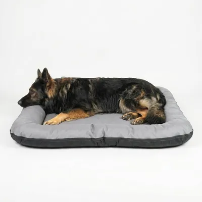 Produktbild von 4L Textil ELLA Hundematratze aus Kunstleder, wasserabweisend, abwischbar, Bezug abnehmbar, für sehr große Hunde, 130x110 cm, Grau