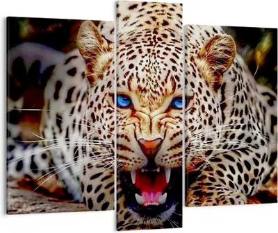Produktbild von Bild auf Leinwand - Leinwandbild - Panther Tier - 95x80cm - Wand Bild - Wanddeko - Wandbilder - Leinwanddruck - Bilder - Kunstdruck - Wanddekoration - Leinwand bilder - Wandkunst - CB95x80-3506