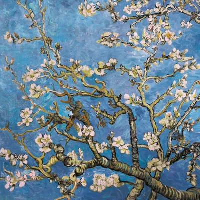 Produktbild von Vincent Van Gogh Kunstdruck Bild - Blühende Mandelbaumzweige, 1890 (100 x 100 cm)