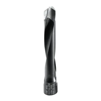 Image de Fraise Festool DOMINO D 14-NL 70 HW-DF 700 | 497871